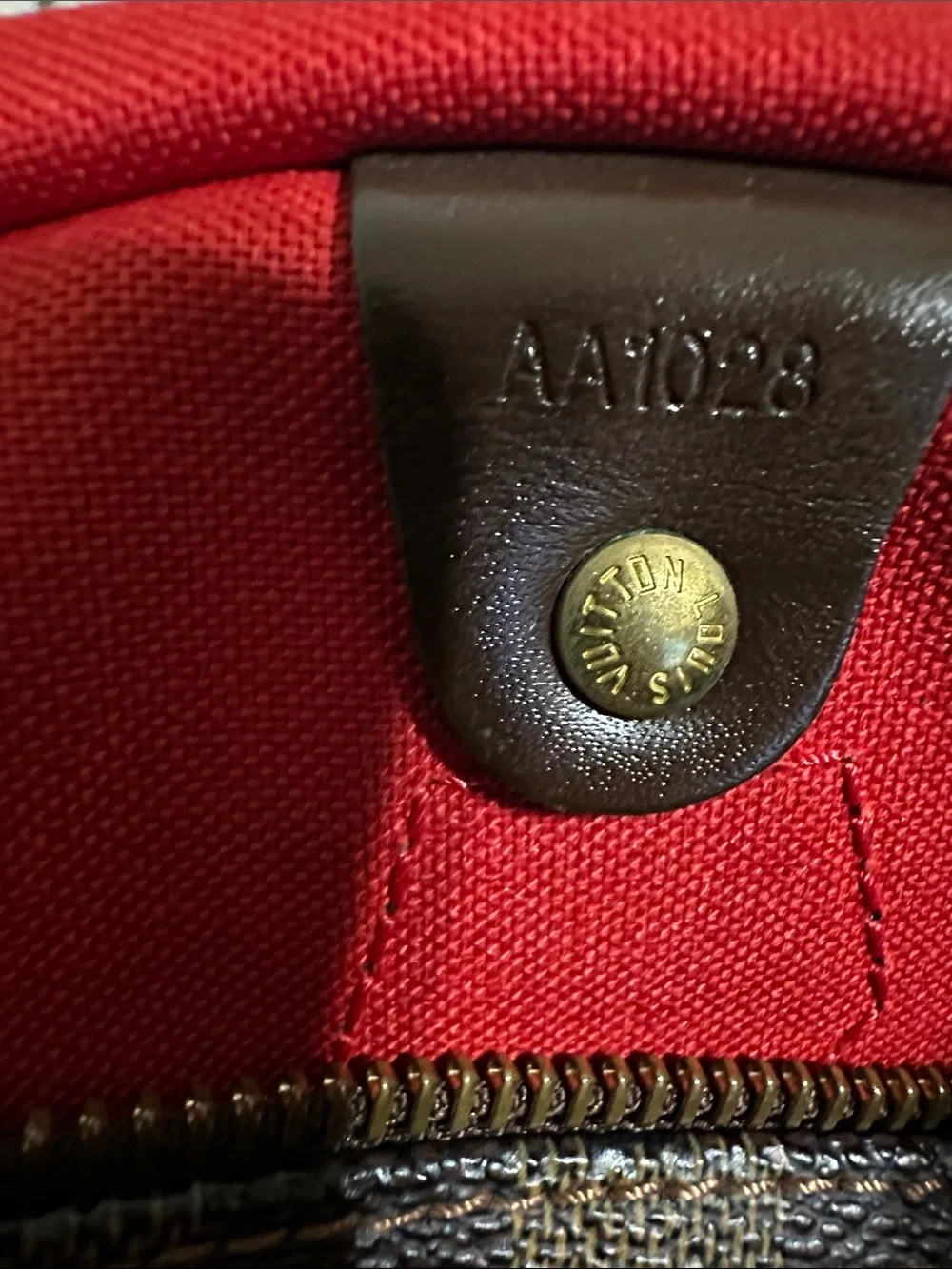 Louis Vuitton stylish brown